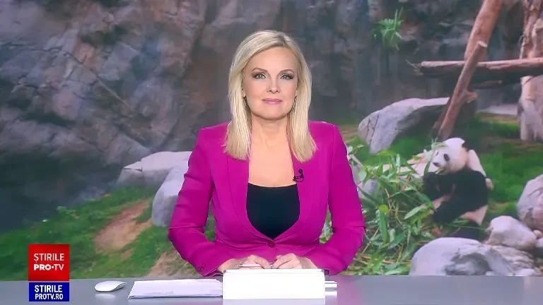 Un îngrijitor de urși panda din Hong Kong are unul dintre cele mai distractive joburi din lume. Filmările lui sunt virale