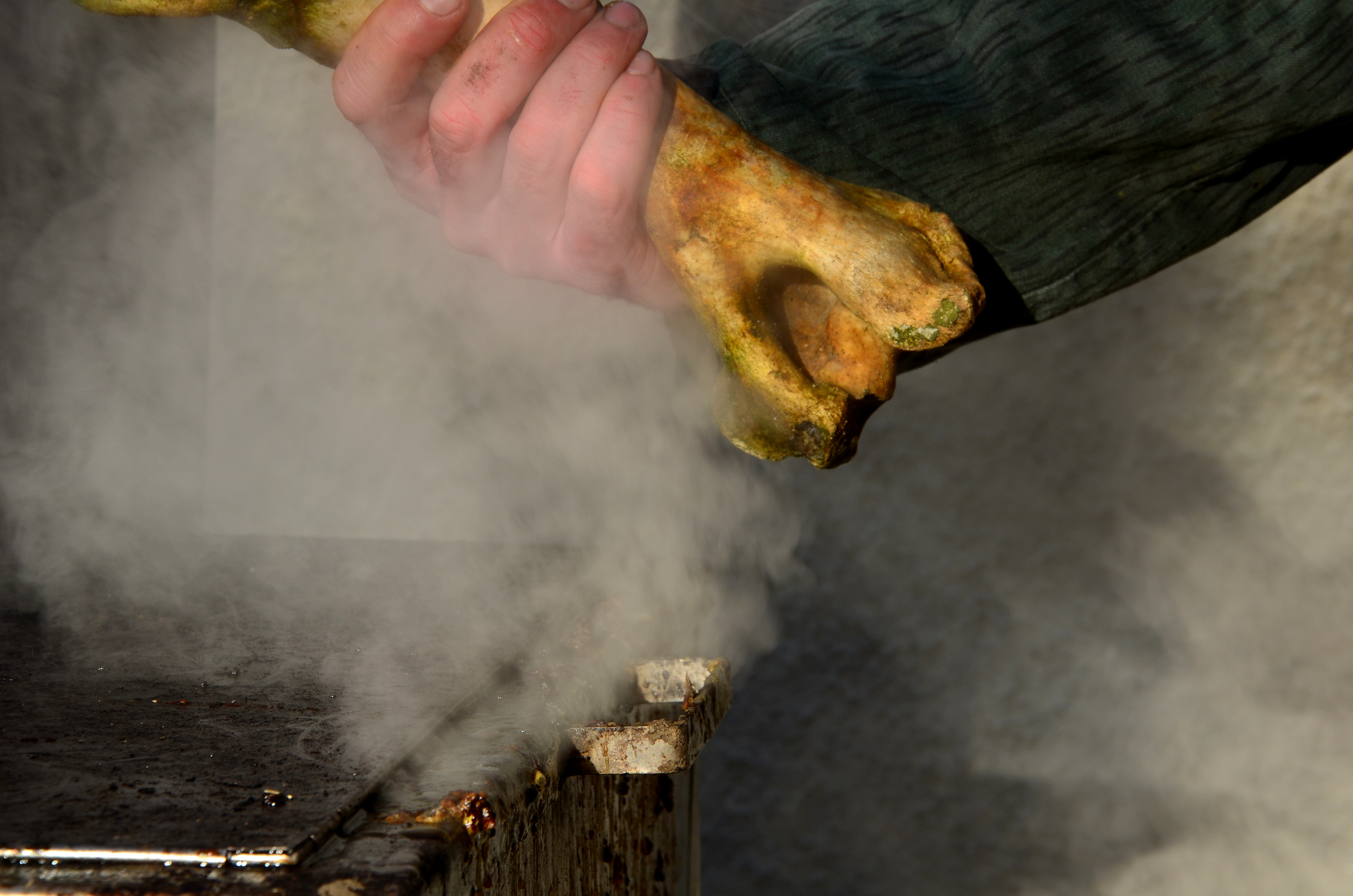 ”Acte terifiante de canibalism”. Un bărbat și-a ucis fratele, apoi a fost fotografiat în timp ce-i lingea piciorul tăiat