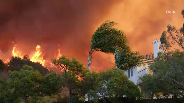 „Hidranții nu mai funcționează”. Violența incendiilor din California, amplificată de incompetența administrației