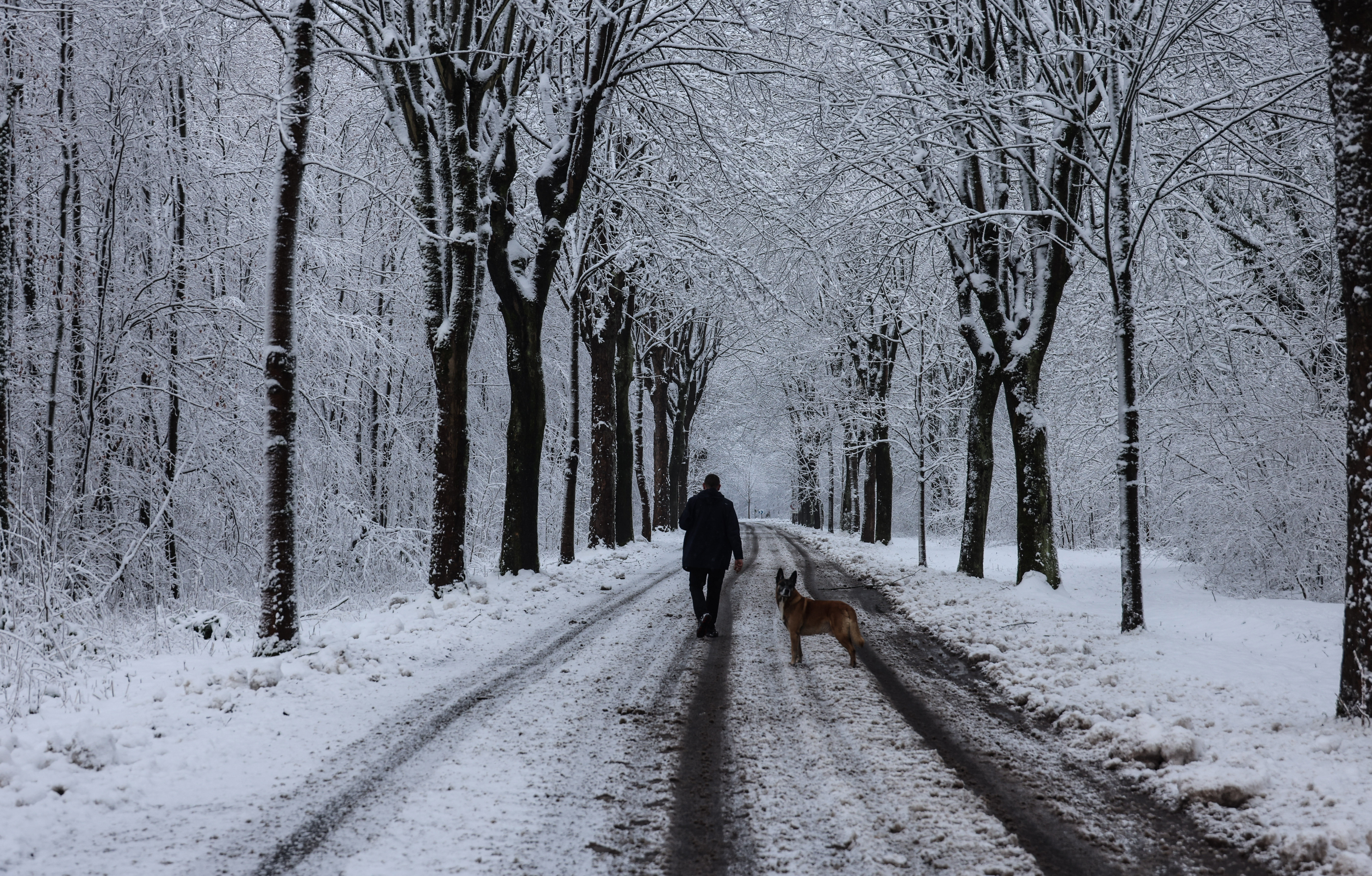 Vremea azi, 17 ianuarie. Temperaturile maxime ajung la 10 grade. Zonele unde va mai ninge