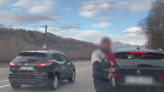 Animalele continuă să fie chinuite ca turiștii să se pozeze cu ele, deși este ilegal. Amenzile pornesc de la 3.000 de lei