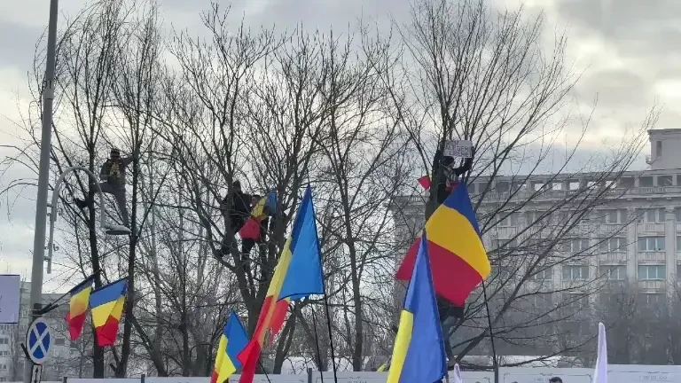 Proteste la CCR. Unii participanți s-au urcat în copaci, de unde strigă lozinci împotriva președintelui Klaus Iohannis