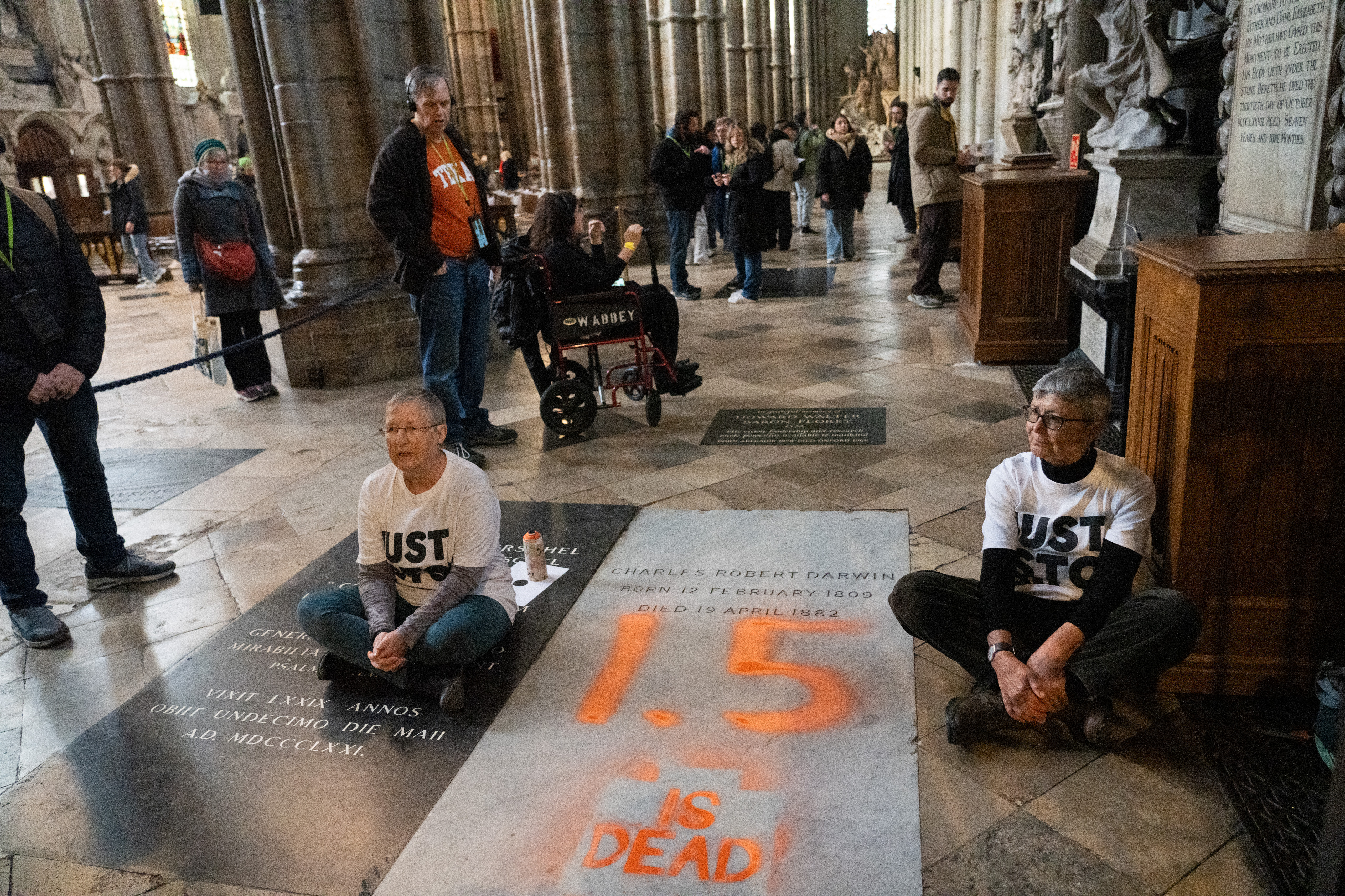 Activiștii de mediu au profanat piatra funerară a lui Charles Darwin. Mesajul scris cu spray: „1,5 este mort”