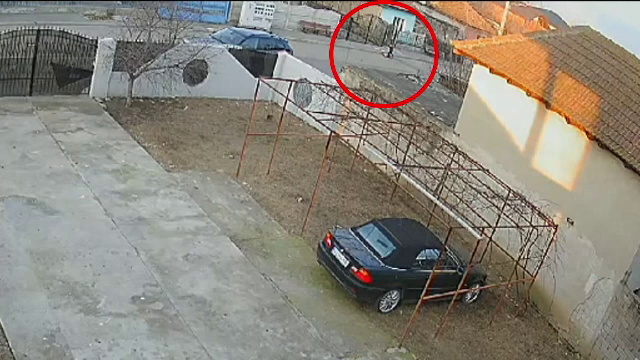 Ultimele imagini cu copilul de 4 ani ucis de câini pe un câmp din Craiova. A suferit un șoc traumatic și hemoragic