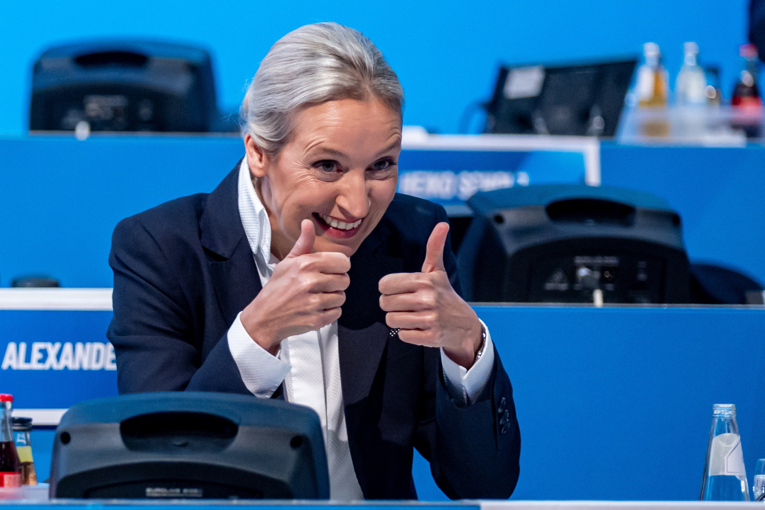 Programul electoral al AfD în Germania: Închiderea frontierelor, expulzarea migranților și abandonarea monedei euro