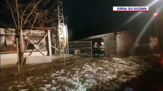 Fermă cu 5.000 de porci din Suceava, mistuită de un incendiu. Niciun animal nu a scăpat cu viață