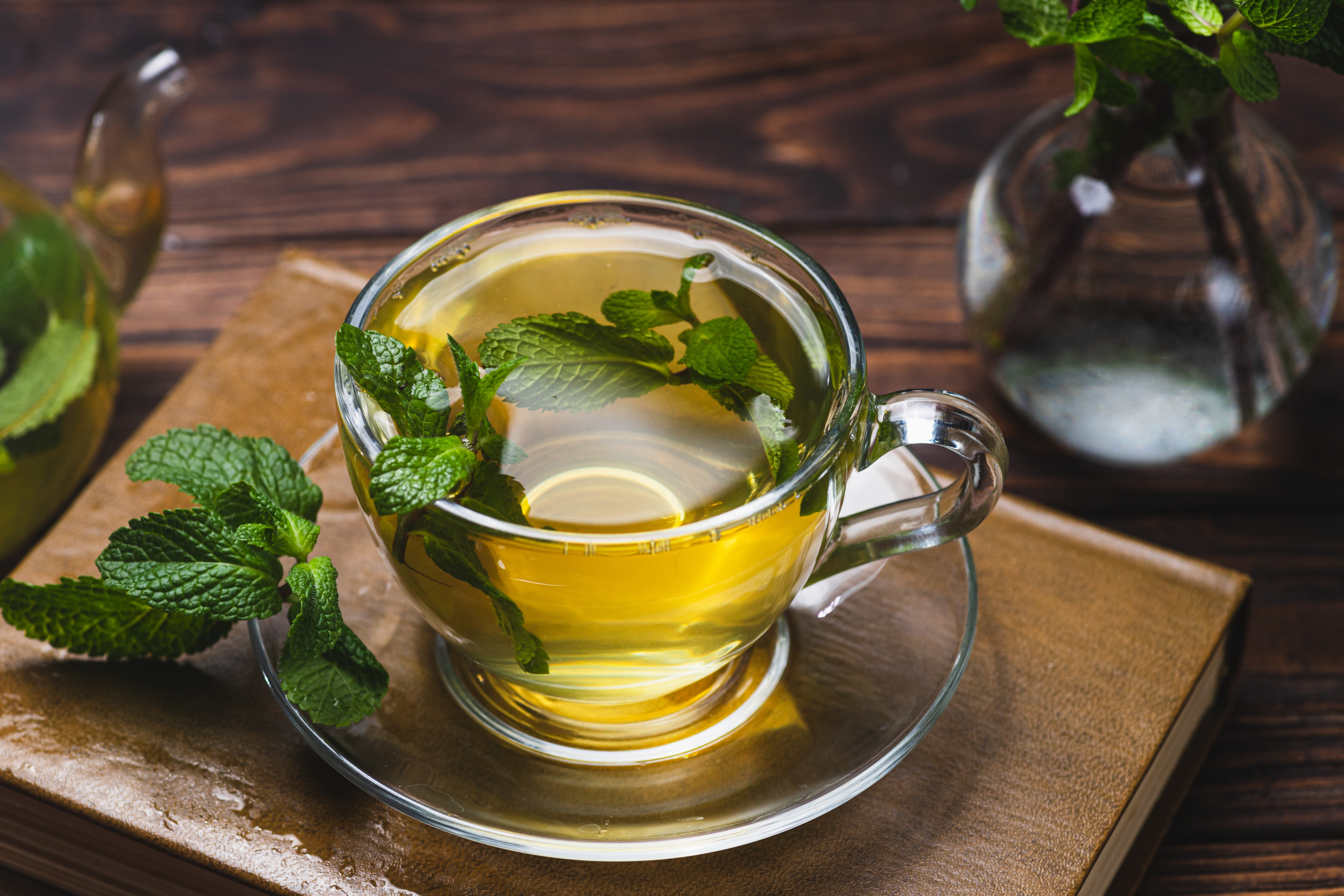Ceai de mentă - beneficii, proprietăți și contraindicații. Când să bei ceai de mentă