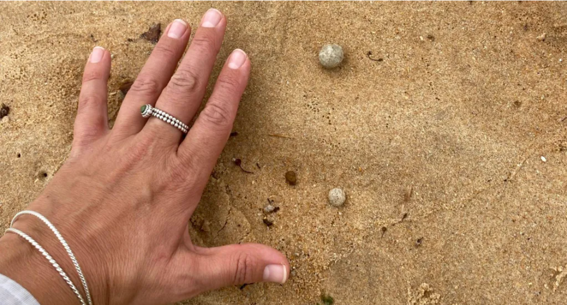 Oraș inundat de bile misterioase: ”Nu știm ce sunt și asta le face și mai periculoase”