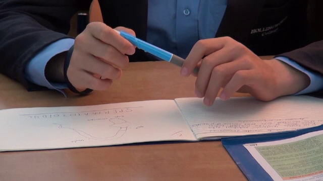 Profesorii mai pot depune până vineri „declarația de integritate” privind meditațiile. Legal, ar trebui declarate și la Fisc