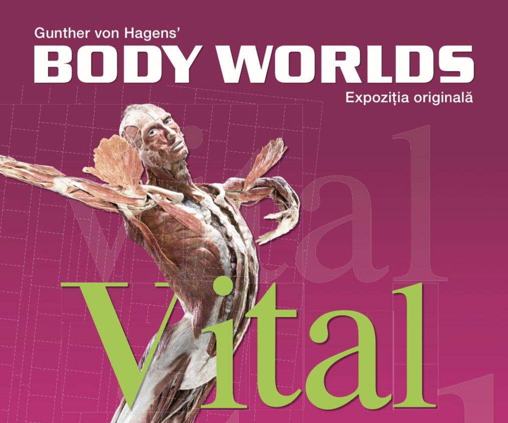 La solicitarea publicului, expoziția BODY WORLDS – Vital extinde perioada de vizitare