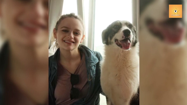 Cățelușa fără stăpân din București care locuiește acum la Hollywood. Starul Joey King a adoptat-o pe loc: ”Mi-ai furat inima”