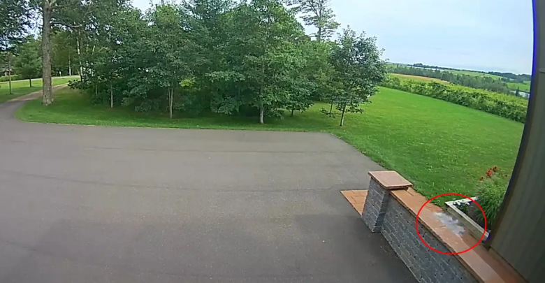 Momentul în care un meteorit cade în fața unei case din Canada. Reacția cuplului care locuia acolo