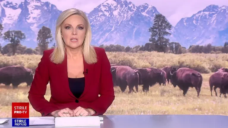 Tone de carne de bizon donate au devenit porc până pe mesele copiilor. Anchetă la DGASPC Bihor