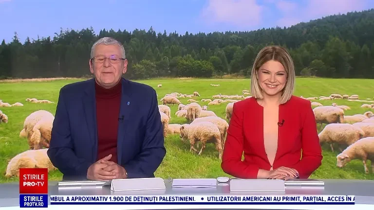 Mieii de Paște vor avea anul acesta și 25 de kilograme. Ciobanii anunță și ce prețuri vor fi