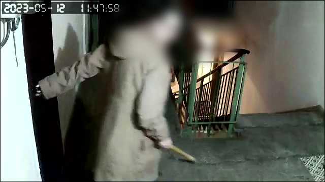 Familie din Roman, terorizată de o vecină. A fost filmată cum lovește cu toporul în tabloul electric