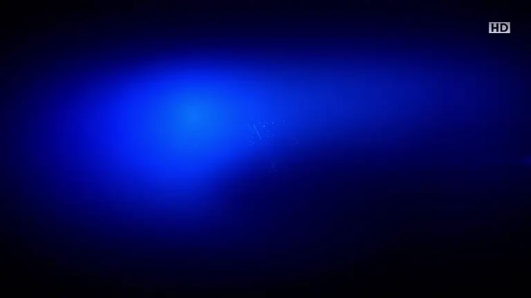 Știrile ProTV ale dimineții - 23.01.2025