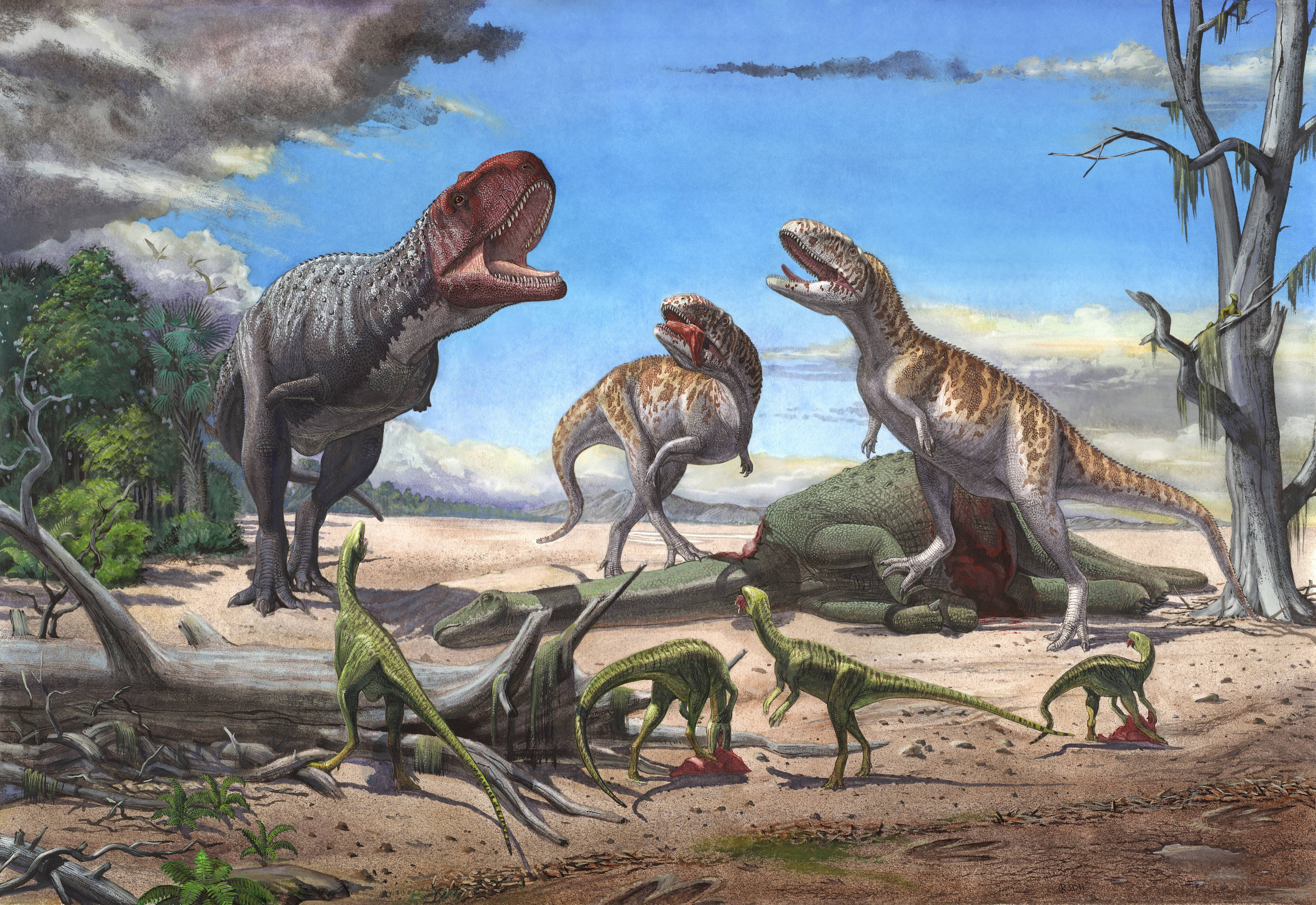 Primii dinozauri au apărut într-o zonă a Pământului care s-a rupt și e despărțită acum de mii de kilometri și un ocean