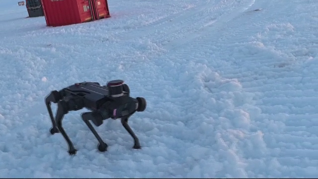 Câini-robot folosiți tot mai des în China. Ajută la rezolvarea sarcinilor periculoase și salvează vieți. „O provocare”