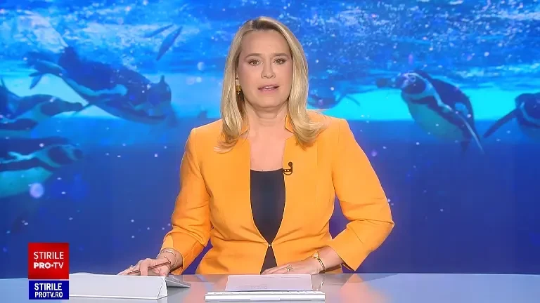 La ZOO din Brașov, în premieră națională puteți să admirati pinguini, foci și lei de mare