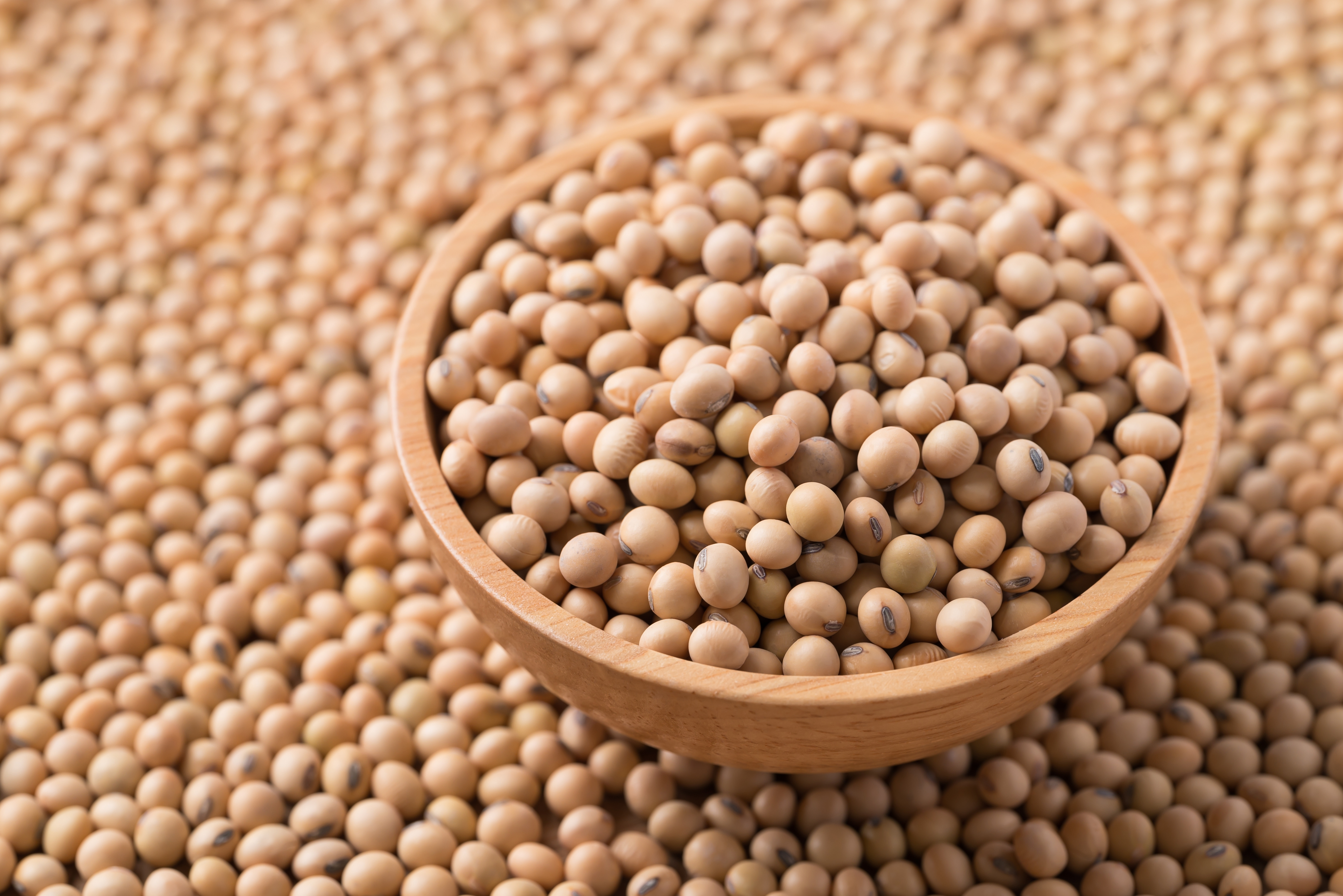 Soia - ce este și cum se utilizează. Beneficii, proprietăți, contraindicații