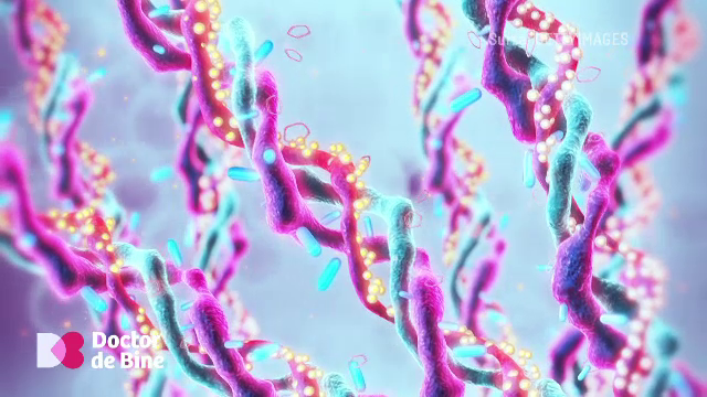 Paradoxul colagenului din produsele cosmetice. Hidratează pielea, dar nu e reținut în organism