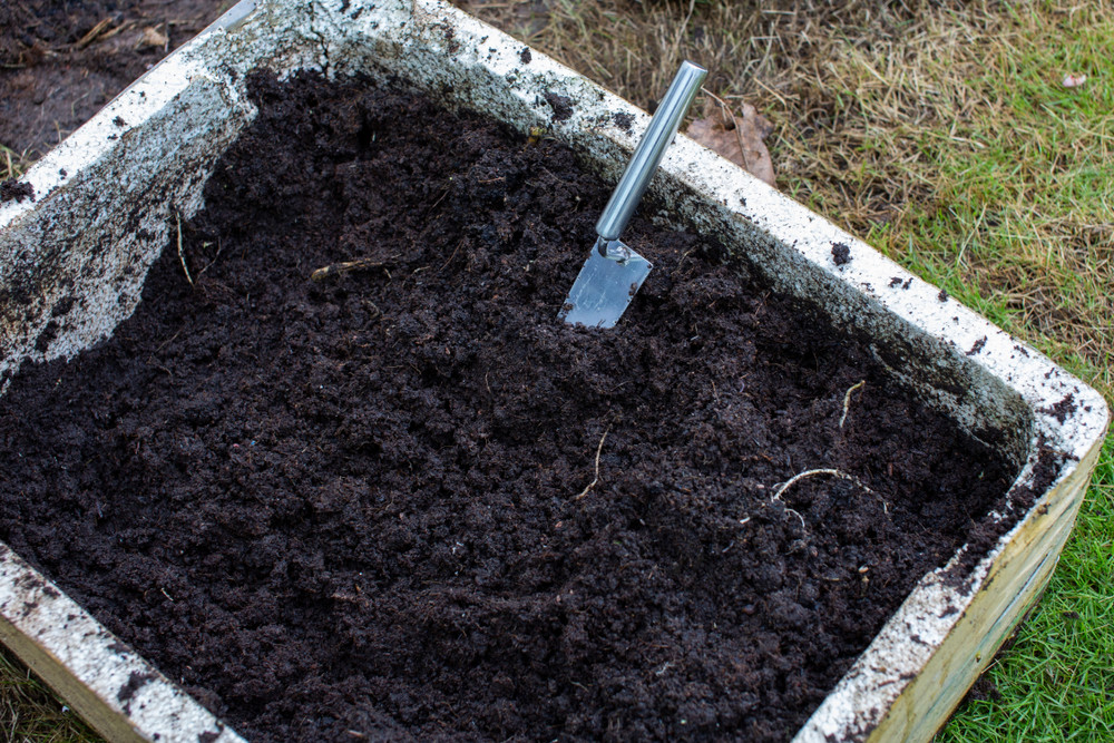 Un elev german a găsit 15.000 de euro într-un ghiveci din curtea școlii. „Nu pare să fie vorba de bani pierduți accidental”