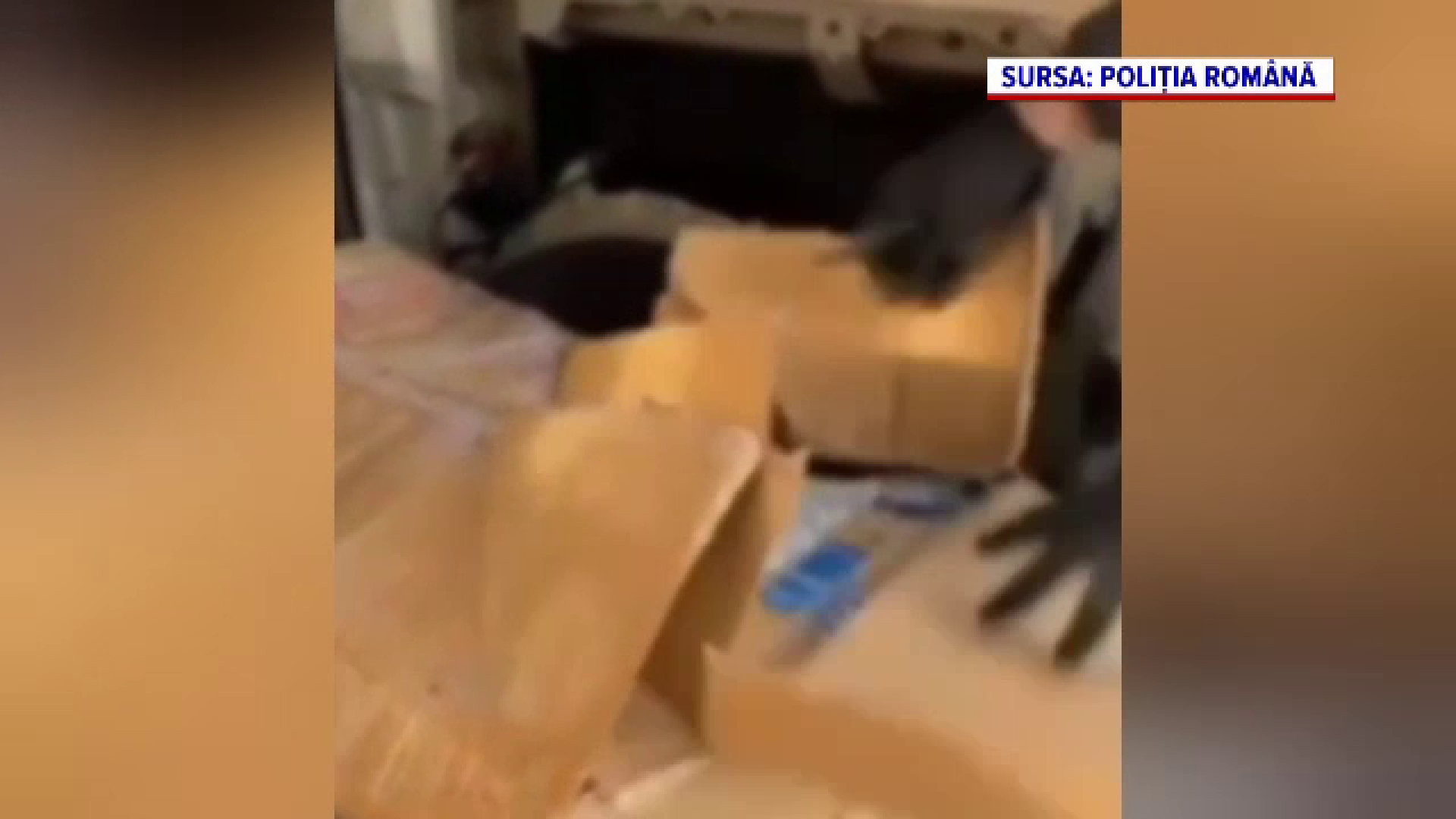 Patru traficanți au fost prinși în flagrant în Cluj în timp ce preluau colete în care erau ascunse cantități mari de canabis