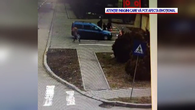 Oraș din Dolj, terorizat de haite de câini. Două fetițe au fost mușcate în două zile