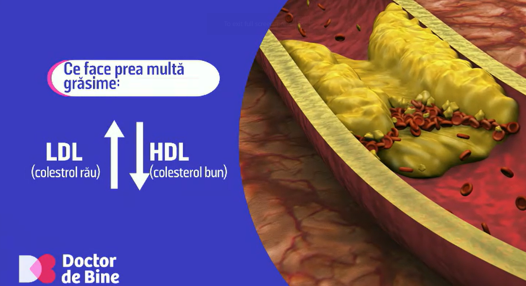 Insuficiența renală produsă de grăsime este o problemă tot mai întâlnită. Analizele pe care trebuie să le facem constant