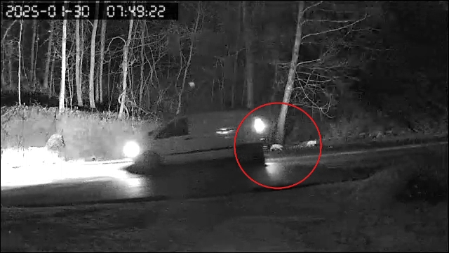 Un bărbat din Vâlcea a fost amendat cu 12.000 de lei după ce a abandonat trei cățeluși