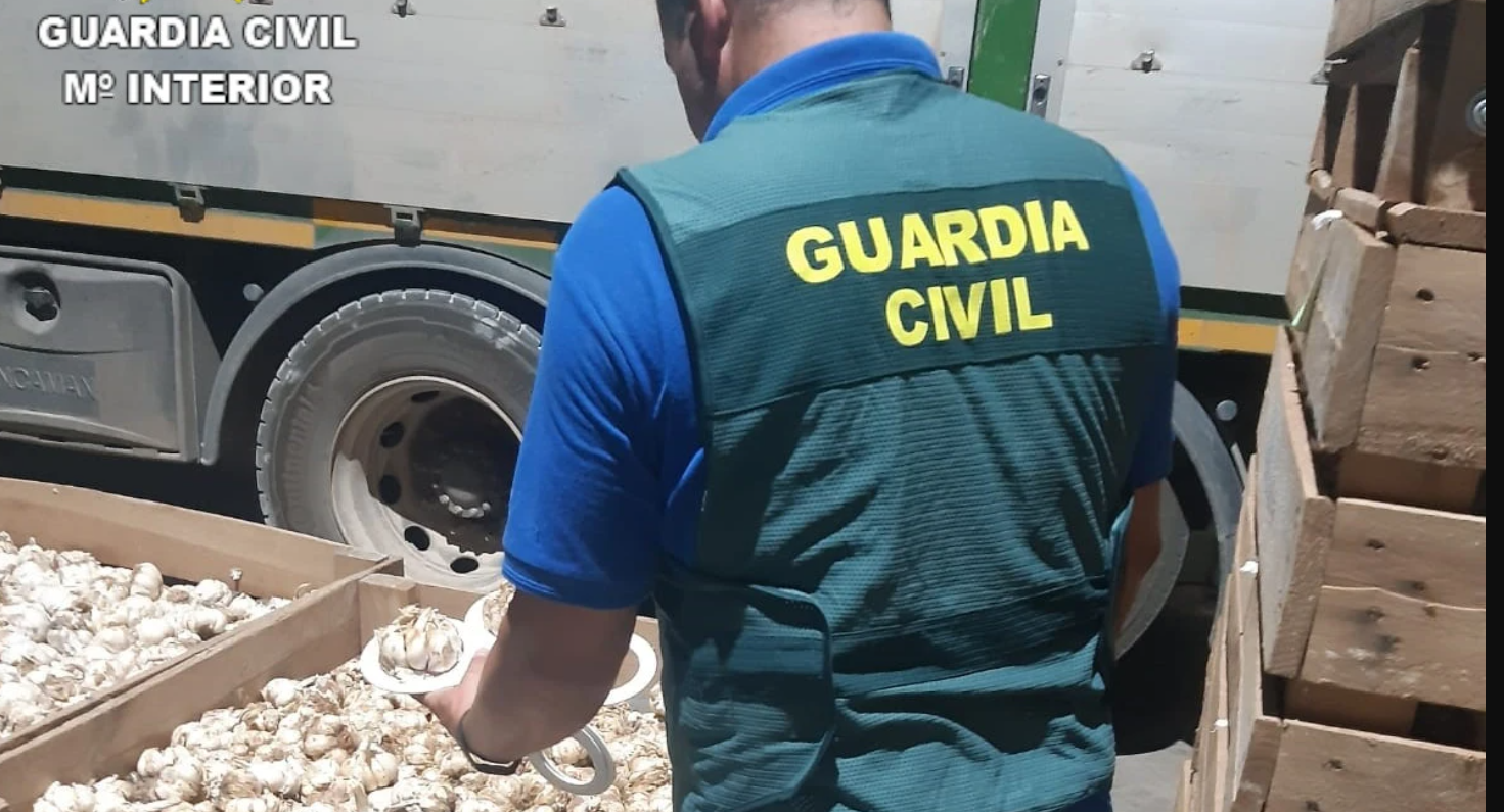 Șase români sunt acuzați că ar fi furat cantități mari de usturoi în Spania. Prejudiciul depășește 600.000 de euro