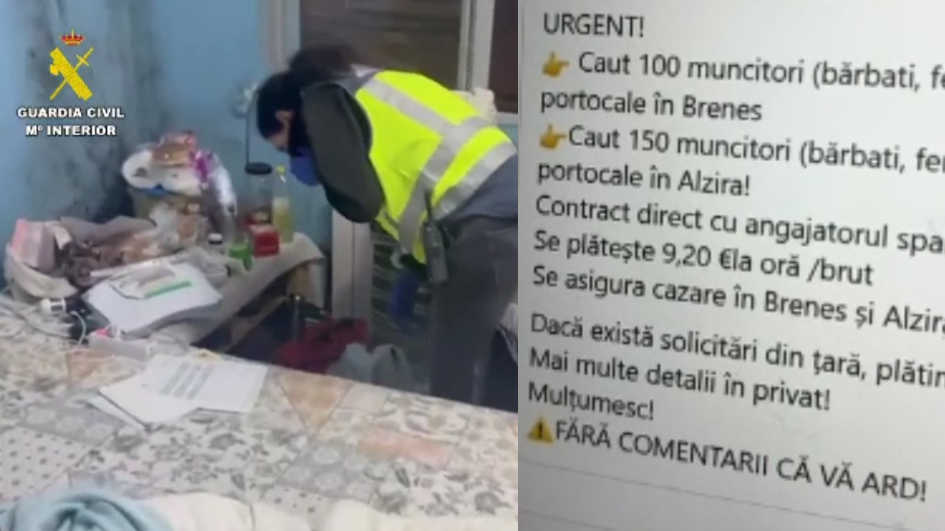 Teroare pe plantațiile din sudul Spaniei. Zeci de români ținuți în condiții de sclavie și bătuți de propriii lor compatrioți