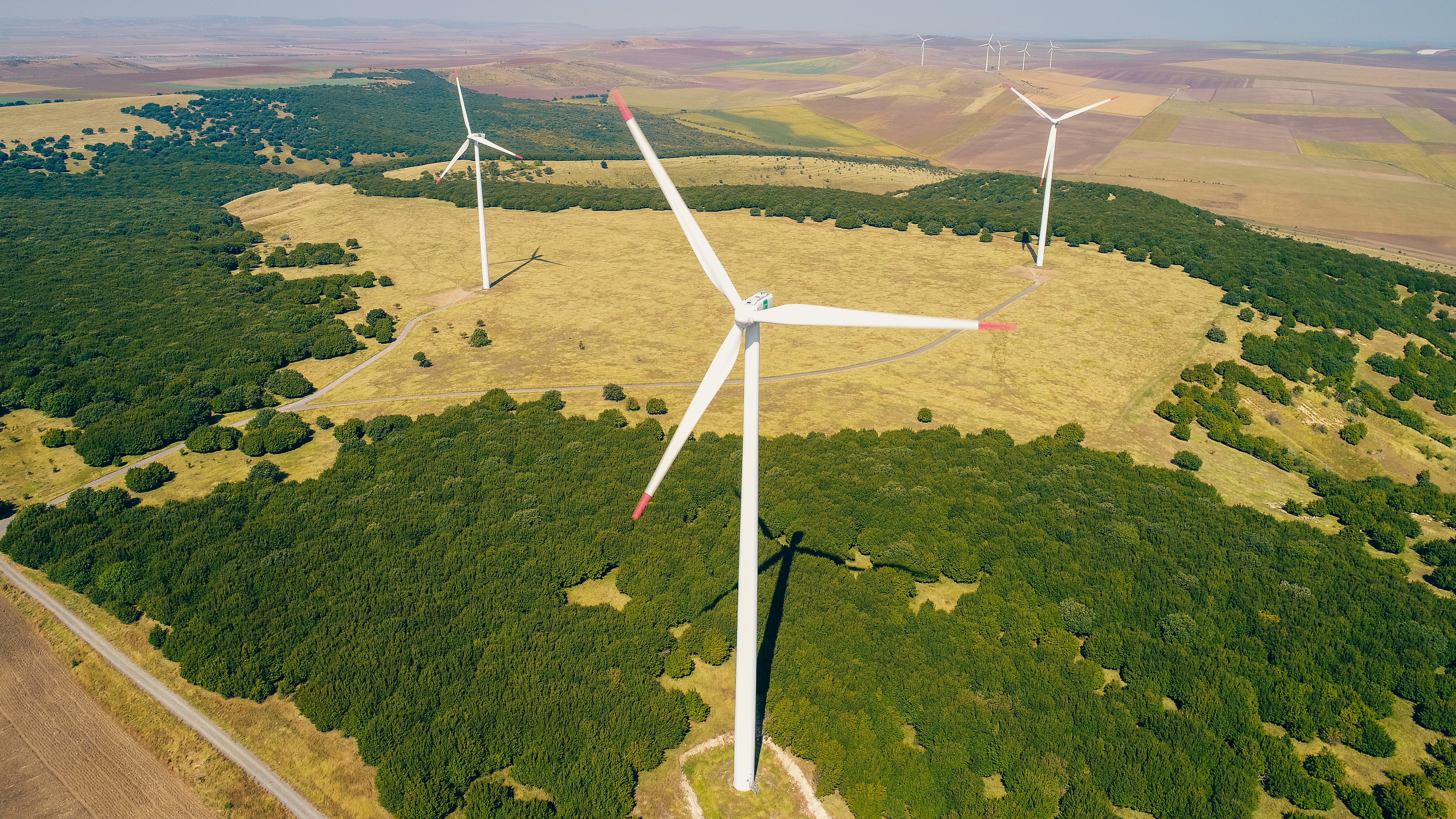 Electrica cumpără un parc eolian din Constanța. Compania pregătește investiții de milioane de euro în producția de energie