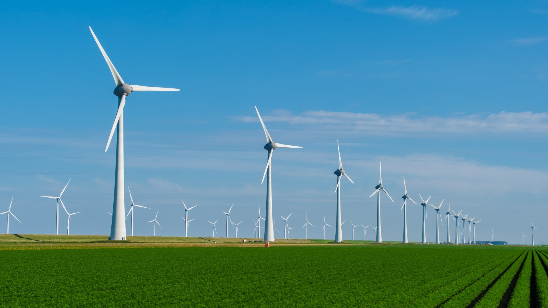 Ministerul Agriculturii prelungește o schemă de ajutor. Statul acoperă până la 100% din investițiile în energia regenerabilă