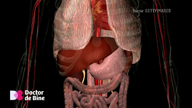 De ce este esențial să aruncăm apa în care au fiert legumele, explică un expert în ingineria mediului