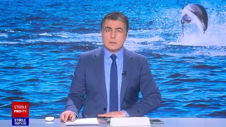 Delfinii din Marea Neagră sunt tot mai puțini. Semnalul de alarmă tras de ecologiști