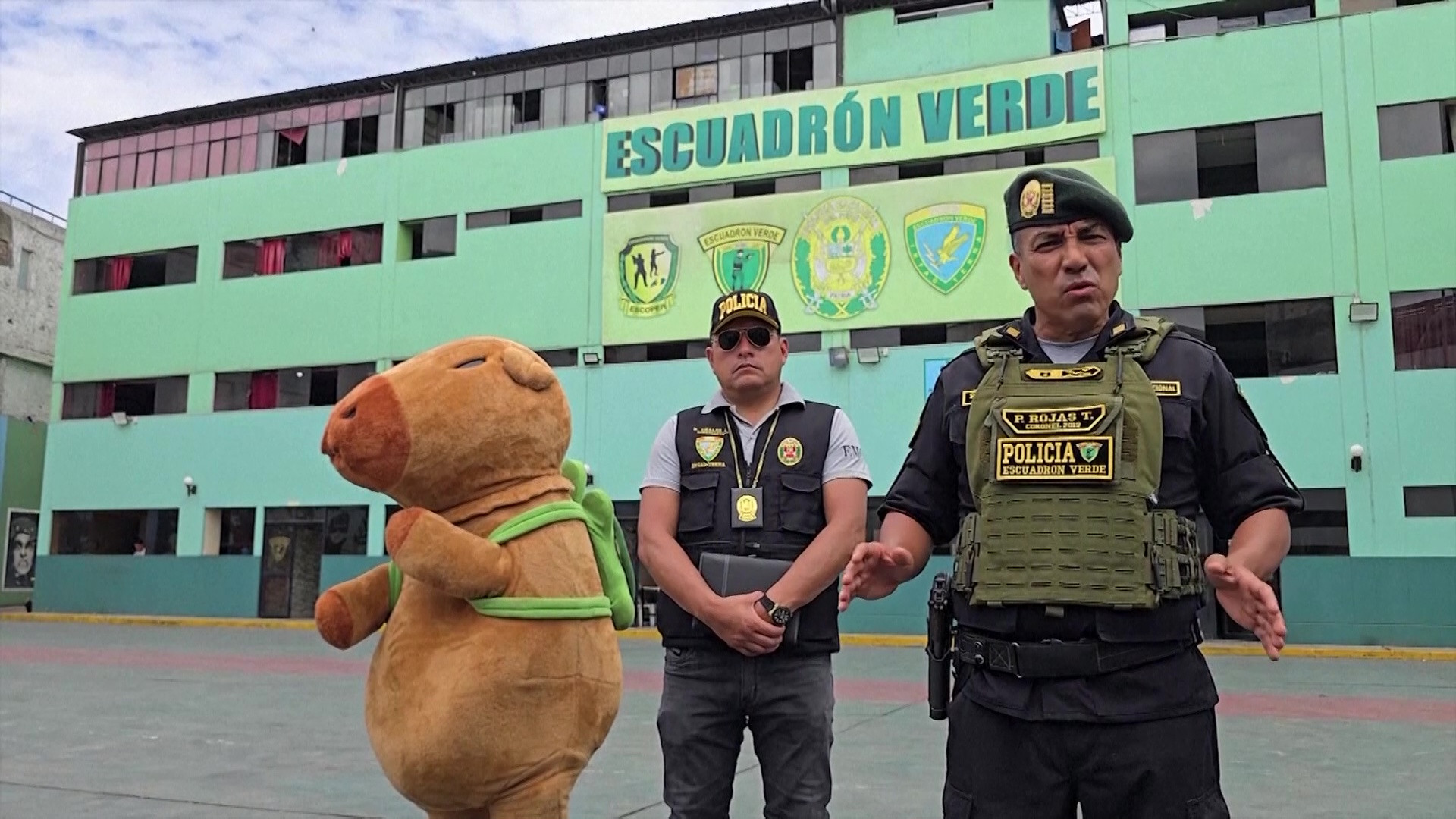 VIDEO. Un polițist din Peru, deghizat într-un capibara uriaș, a arestat un traficant de droguri