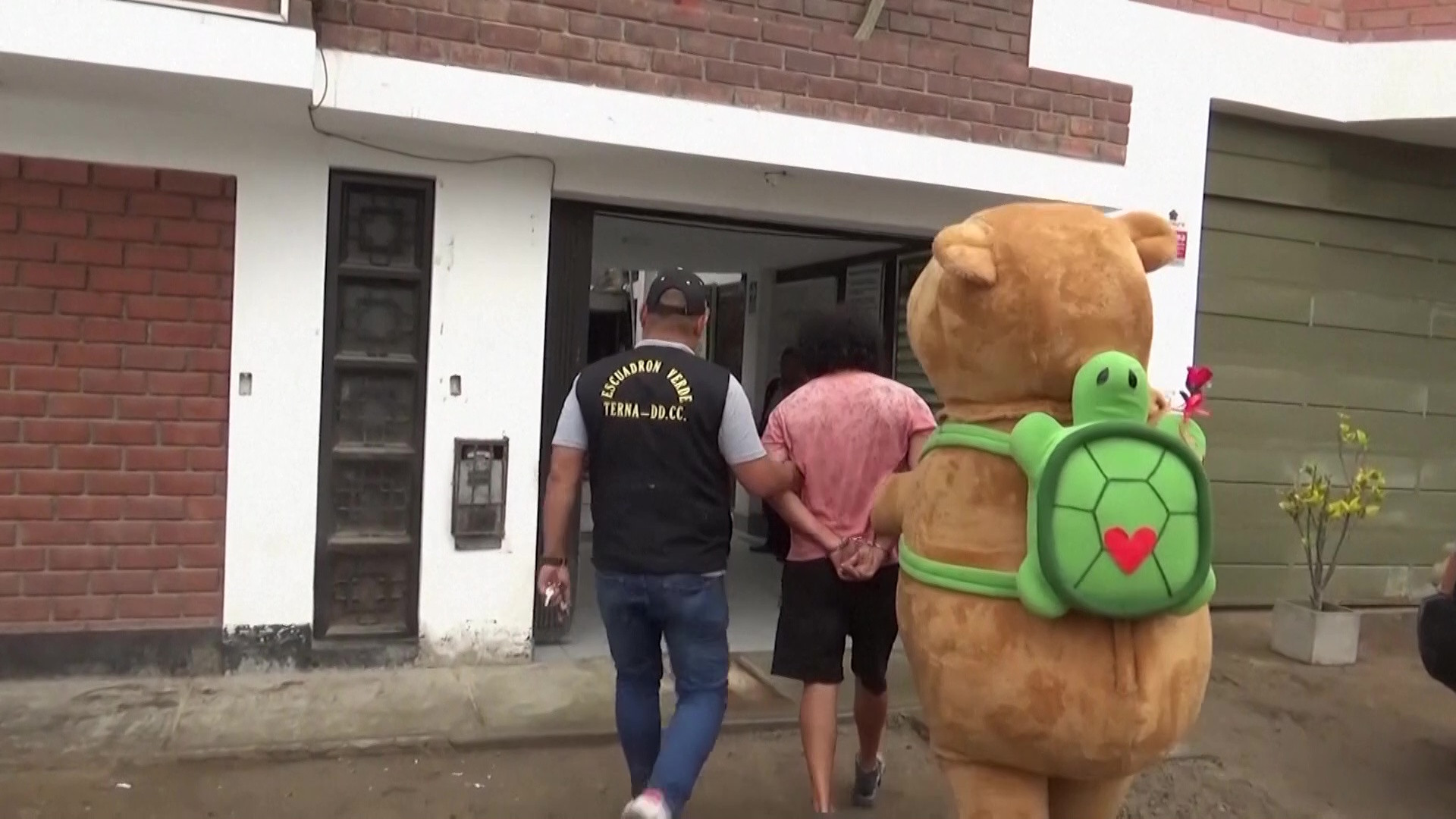 capibara, politist, Peru