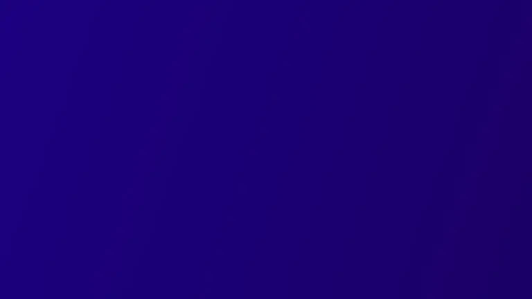 Cum poate un business de succes să ajungă aproape de faliment: Lecțiile LiveBox pentru antreprenori