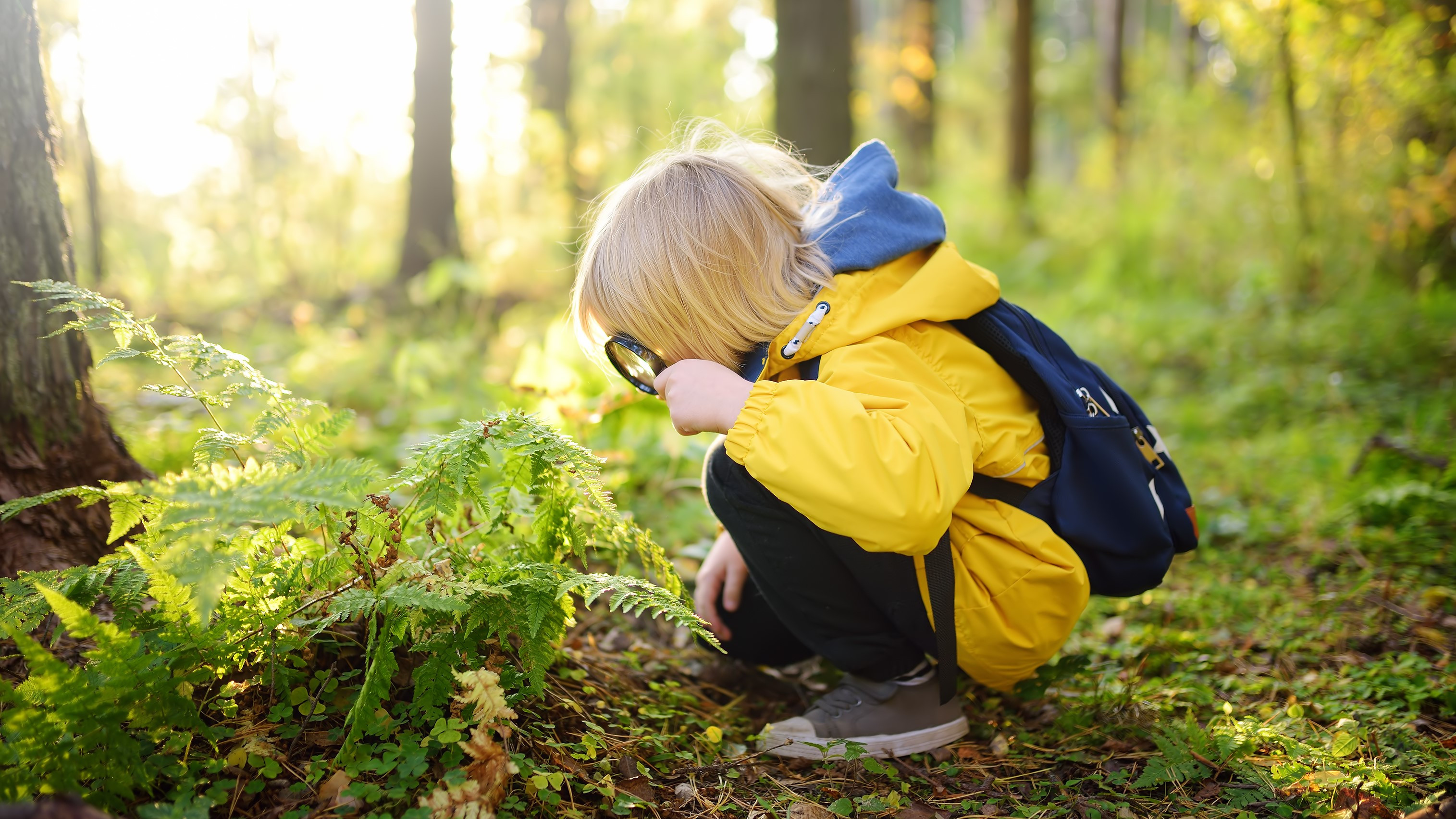 Grădinițele în natură, soluția pentru copiii suprastimulați digital. “Ieșirile în aer liber sunt esențiale pentru dezvoltare”