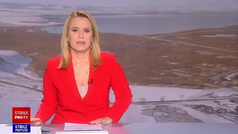 Gerul amenință animalele din Deltă. Păsările sălbatice primesc hrană pentru a supraviețui iernii