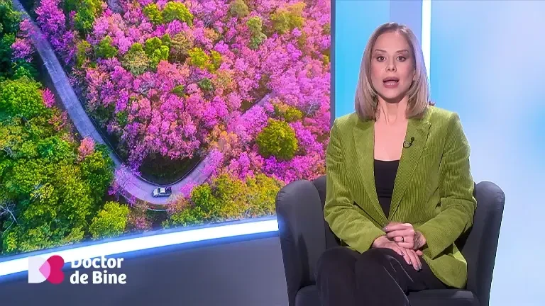 De ce ni se face somn după ce mâncăm. Explicația medicilor