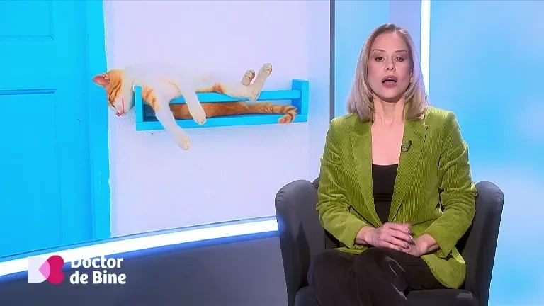 Motivul pentru care nu trebuie să bem vin seara, la cină. Alcoolul nu lasă creierul să doarmă corect