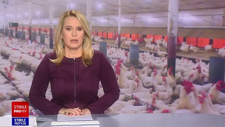 România ar putea exporta ouă pe fondul cererii uriașe din SUA, dar procedurile sunt de durată. Turcia are deja contracte