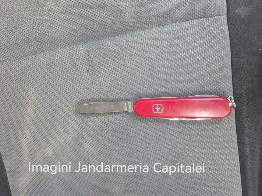 Manifestație în Piața Constituției. Doi protestatari au fost prinși cu spray lacrimogen și un briceag