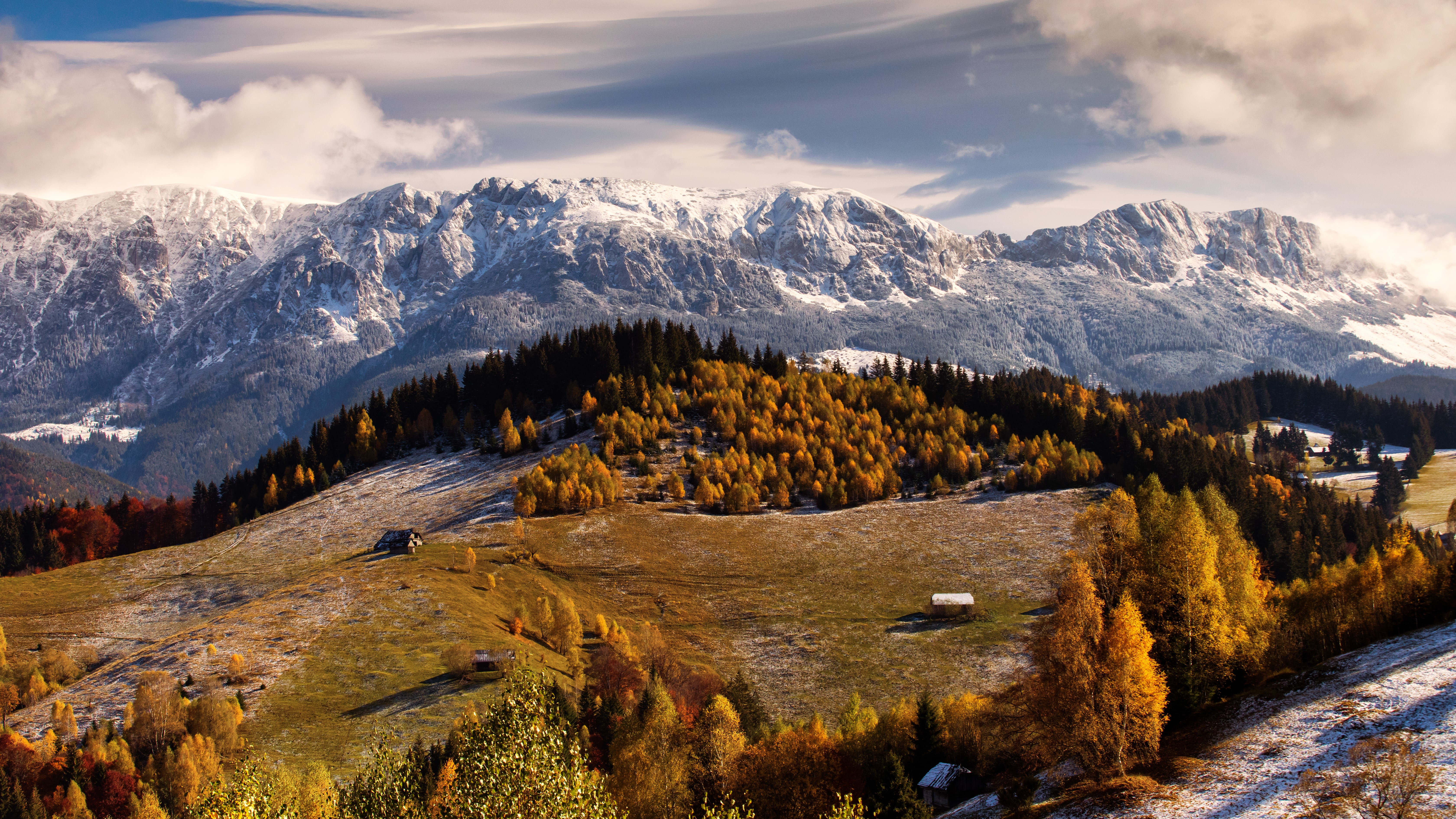 Biodiversitatea României: Cum putem proteja natura fără să blocăm dezvoltarea economică