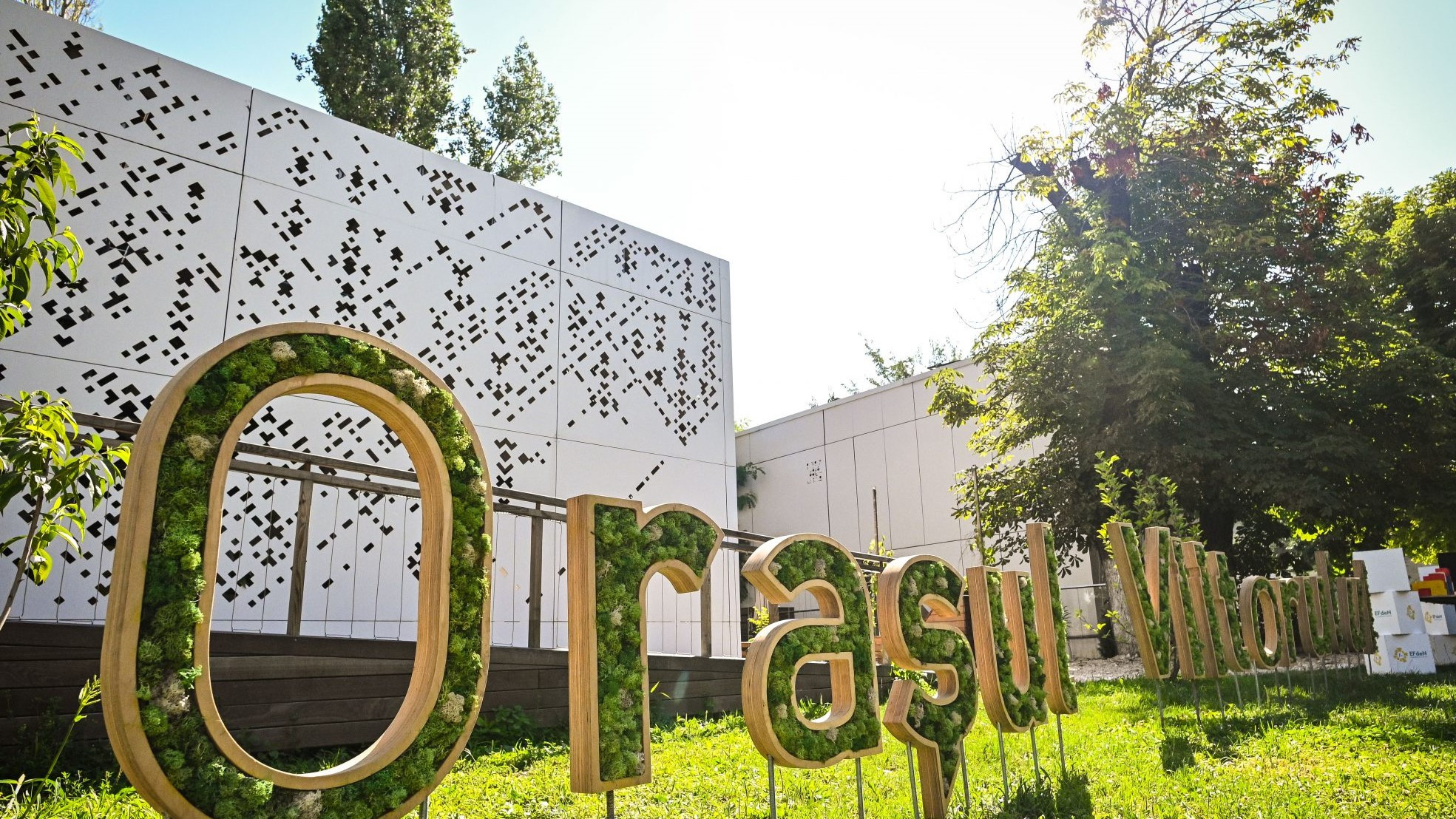 Cum reușește un ONG din România să pregătească tinerii pentru a conduce afaceri sustenabile în construcții