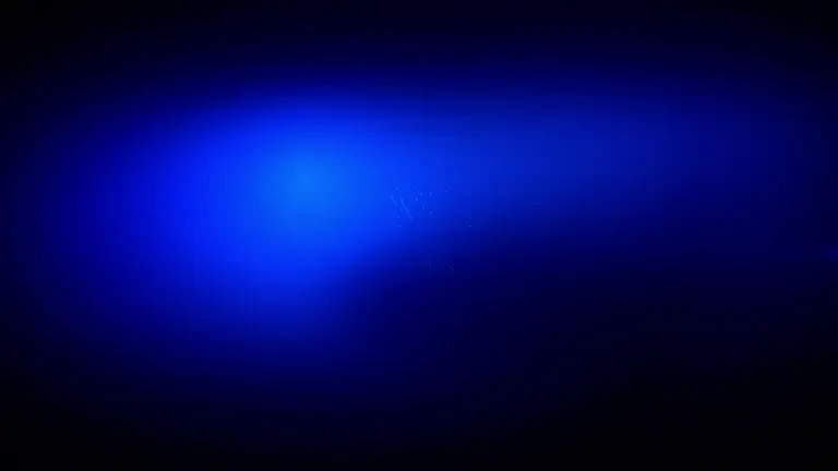 Știrile ProTV de la ora 19:00 - 28.02.2025