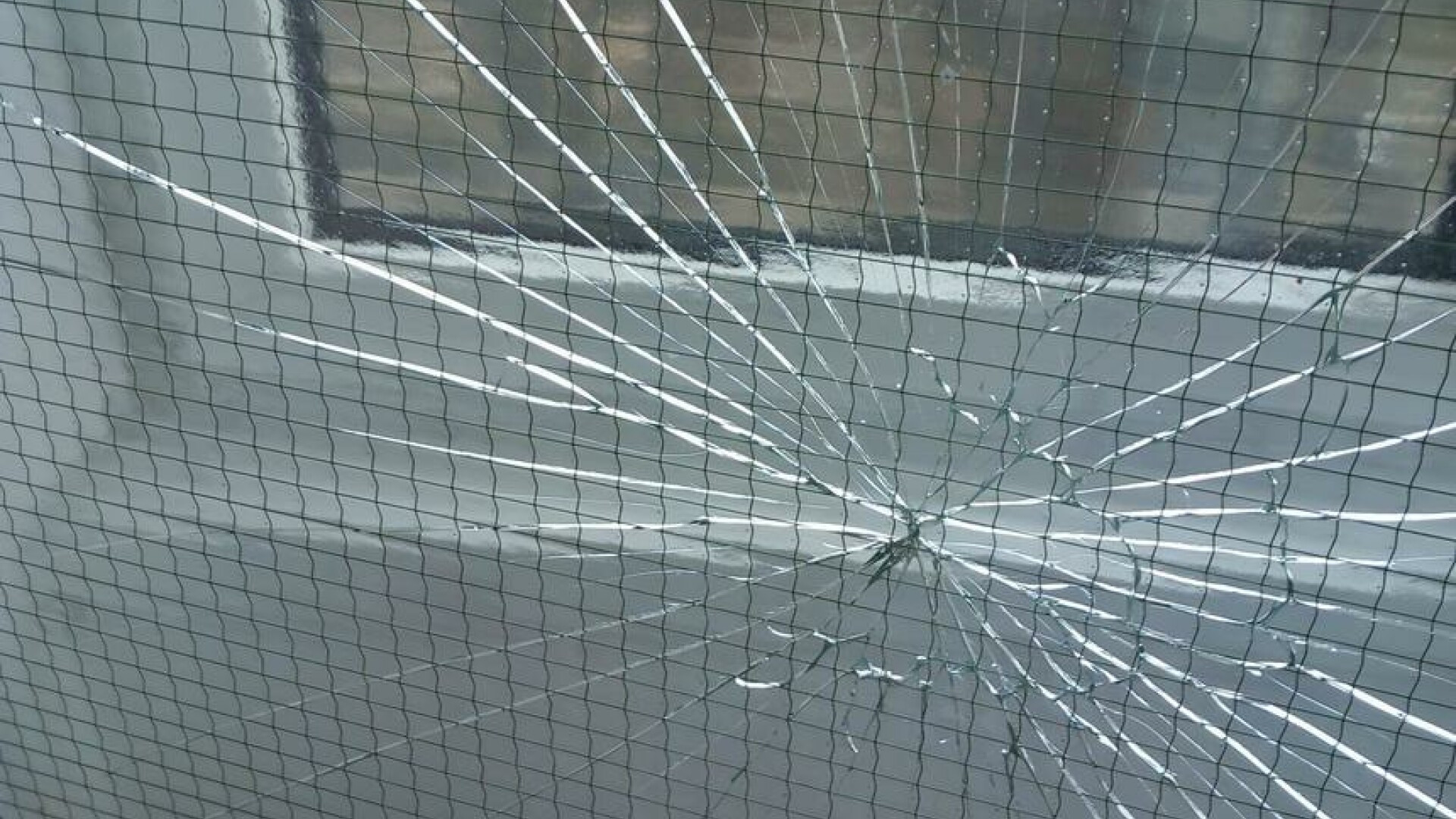 Amenzi de aproape 200.000 de lei după controale ANPC în 82 de campusuri universitare. Produse expirate şi mobilier deteriorat