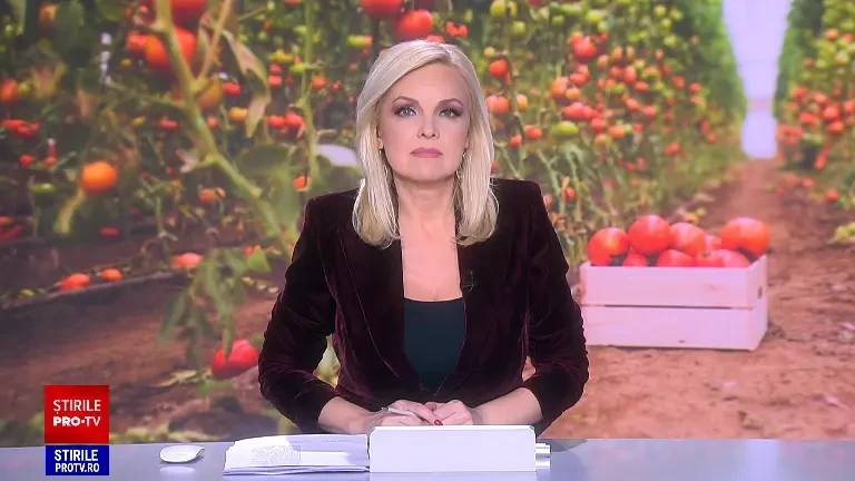 Fermierii care cultivă legume în sere ar putea primi mai mulţi bani. Noi condiții pentru cultivatorii de tomate